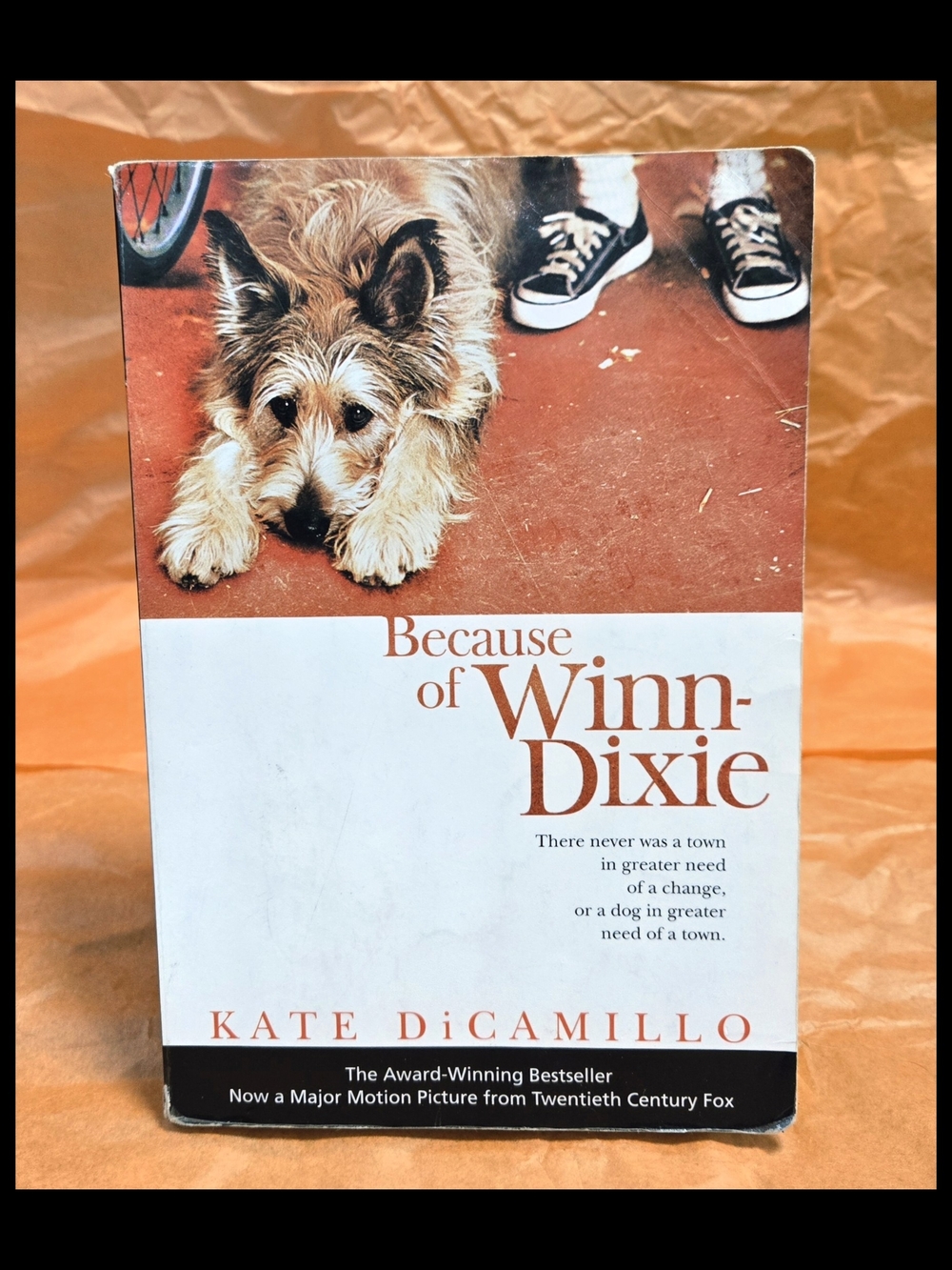 BECAUSE OF WINN-DIXIE BY KATE DICAMILLO